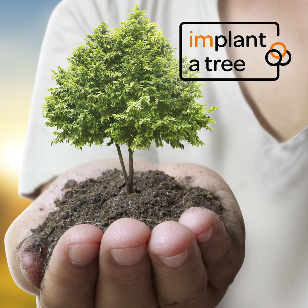our initiative implant a tree, we plant trees